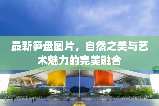 最新笋盘图片，自然之美与艺术魅力的完美融合