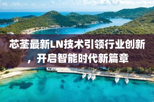 芯荃最新LN技术引领行业创新，开启智能时代新篇章