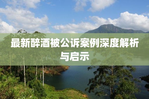 最新醉酒被公诉案例深度解析与启示