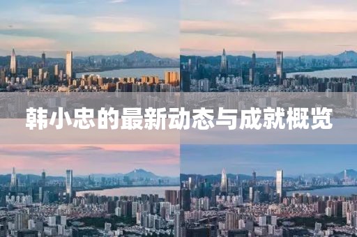 韩小忠的最新动态与成就概览