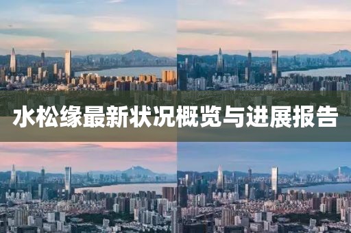 水松缘最新状况概览与进展报告