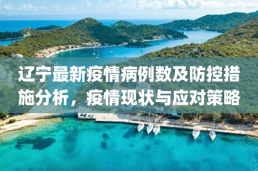 辽宁最新疫情病例数及防控措施分析，疫情现状与应对策略