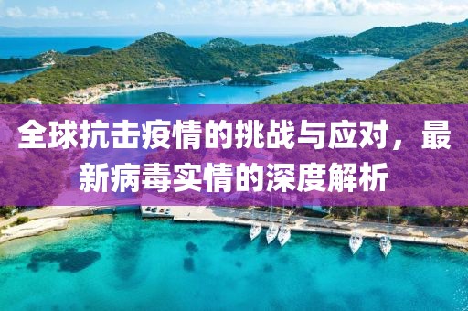 全球抗击疫情的挑战与应对，最新病毒实情的深度解析