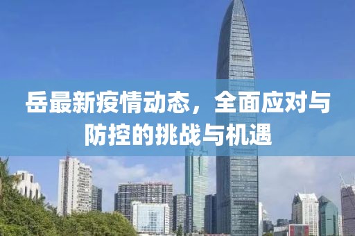 岳最新疫情动态，全面应对与防控的挑战与机遇