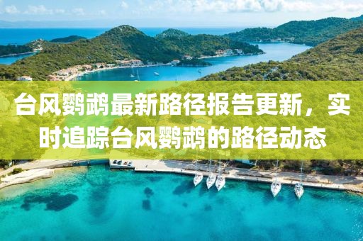 台风鹦鹉最新路径报告更新，实时追踪台风鹦鹉的路径动态