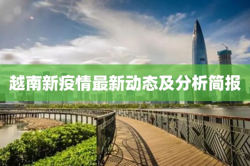 越南新疫情最新动态及分析简报