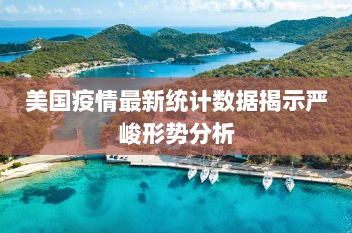 美国疫情最新统计数据揭示严峻形势分析