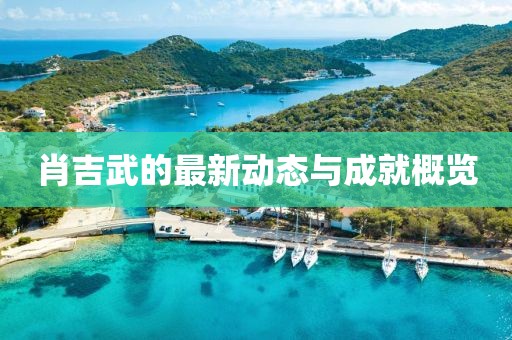 肖吉武的最新动态与成就概览