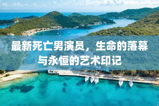 最新死亡男演员，生命的落幕与永恒的艺术印记