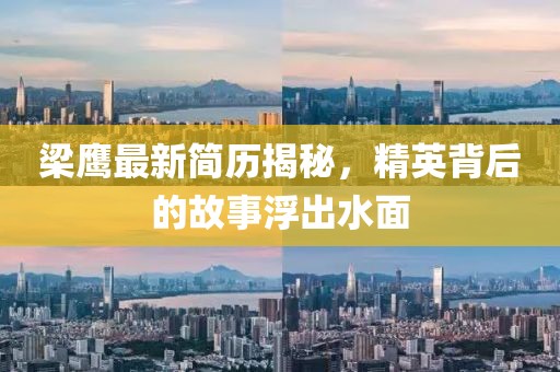 梁鹰最新简历揭秘，精英背后的故事浮出水面
