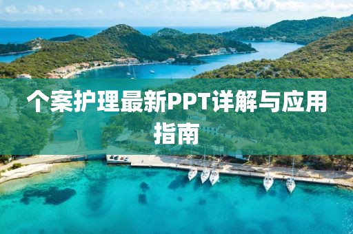 个案护理最新PPT详解与应用指南