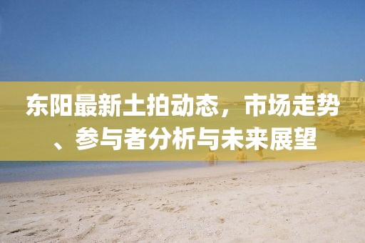 东阳最新土拍动态，市场走势、参与者分析与未来展望