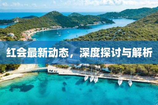 红会最新动态，深度探讨与解析