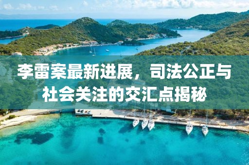 李雷案最新进展，司法公正与社会关注的交汇点揭秘