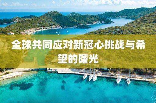 全球共同应对新冠心挑战与希望的曙光