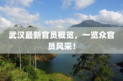 武汉最新官员概览，一览众官员风采！