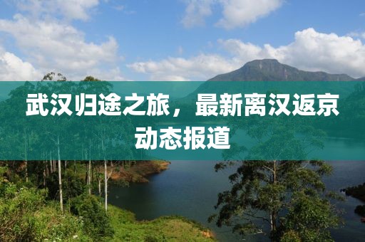 武汉归途之旅，最新离汉返京动态报道
