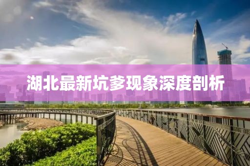 湖北最新坑爹现象深度剖析