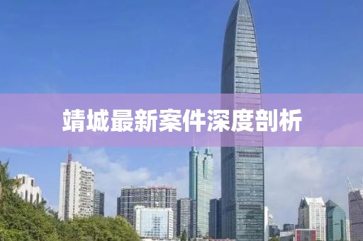靖城最新案件深度剖析