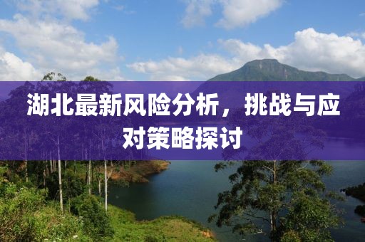 湖北最新风险分析，挑战与应对策略探讨
