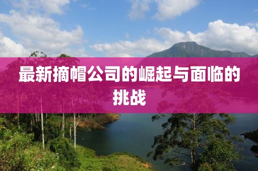 最新摘帽公司的崛起与面临的挑战