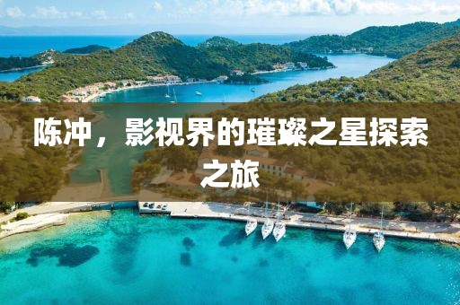 陈冲，影视界的璀璨之星探索之旅
