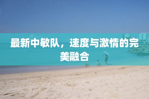 最新中敏队，速度与激情的完美融合