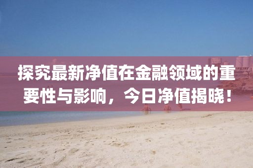 探究最新净值在金融领域的重要性与影响，今日净值揭晓！