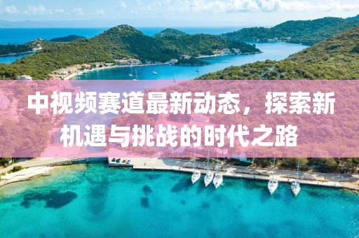 中视频赛道最新动态，探索新机遇与挑战的时代之路