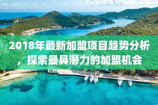 2018年最新加盟项目趋势分析，探索最具潜力的加盟机会