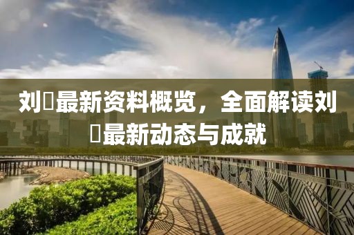 刘珪最新资料概览，全面解读刘珪最新动态与成就