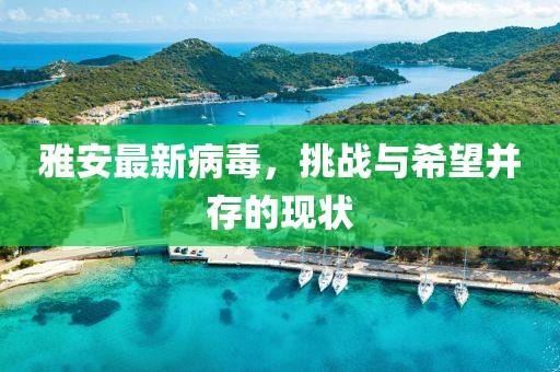 雅安最新病毒，挑战与希望并存的现状