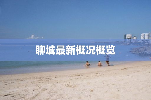 聊城最新概况概览