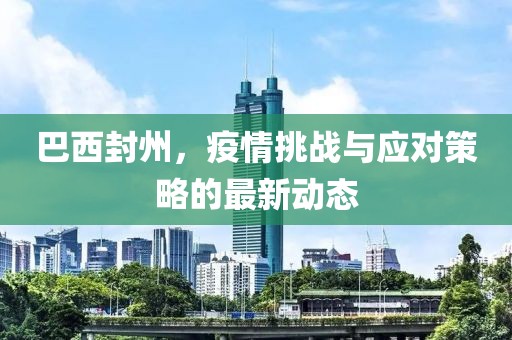 巴西封州，疫情挑战与应对策略的最新动态