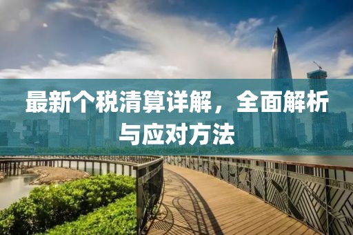 最新个税清算详解，全面解析与应对方法