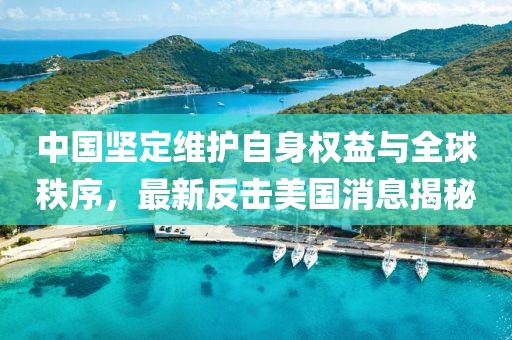 中国坚定维护自身权益与全球秩序，最新反击美国消息揭秘
