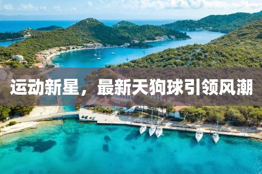 运动新星，最新天狗球引领风潮