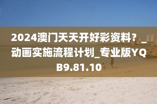 2024澳门天天开好彩资料？_动画实施流程计划_专业版YQB9.81.10
