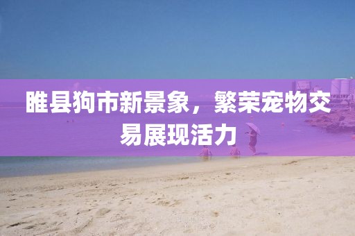 睢县狗市新景象，繁荣宠物交易展现活力