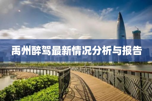 禹州醉驾最新情况分析与报告