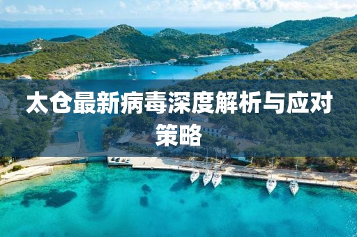 太仓最新病毒深度解析与应对策略