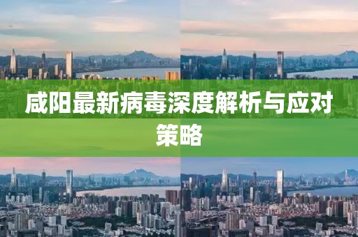 咸阳最新病毒深度解析与应对策略