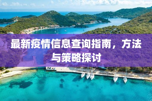最新疫情信息查询指南，方法与策略探讨