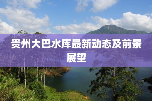 贵州大巴水库最新动态及前景展望