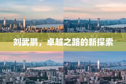 刘武鹏，卓越之路的新探索