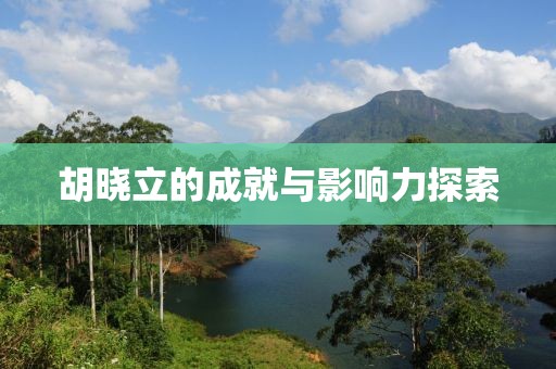 胡晓立的成就与影响力探索