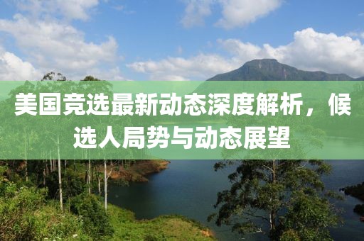 美国竞选最新动态深度解析，候选人局势与动态展望