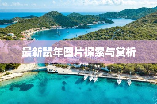 最新鼠年图片探索与赏析