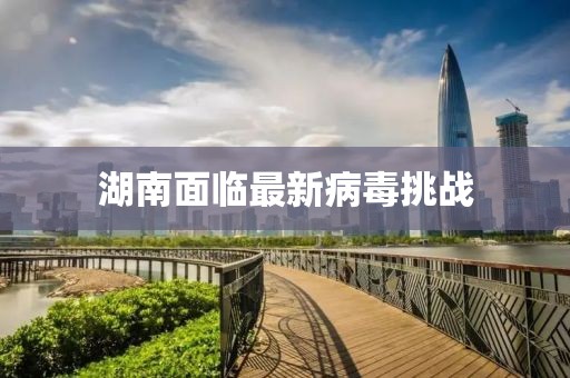 湖南面临最新病毒挑战
