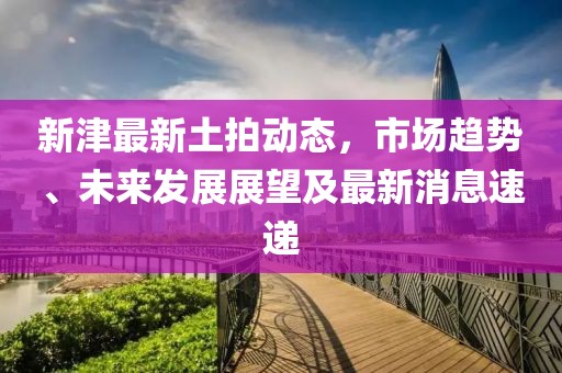 新津最新土拍动态，市场趋势、未来发展展望及最新消息速递